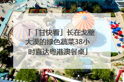 「甘快看」长在戈壁大漠的绿色蔬菜38小时直达粤港澳餐桌