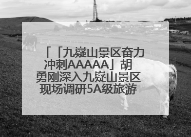 「九嶷山景区奋力冲刺AAAAA」胡勇刚深入九嶷山景区现场调研5A级旅游景区创建工作