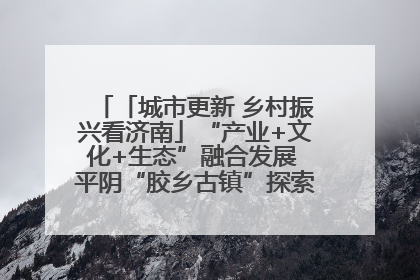 「城市更新 乡村振兴看济南」“产业+文化+生态”融合发展 平阴“胶乡古镇”探索振兴路径成效显著