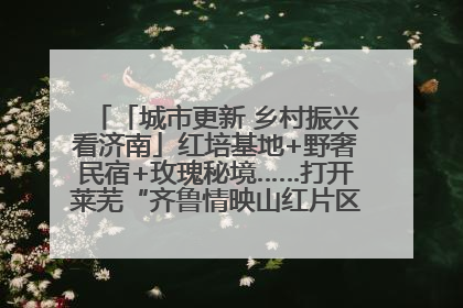 「城市更新 乡村振兴看济南」红培基地+野奢民宿+玫瑰秘境……打开莱芜“齐鲁情映山红片区”的破圈秘籍