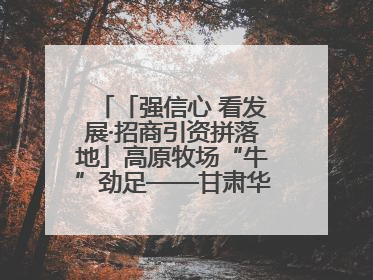 「强信心 看发展·招商引资拼落地」高原牧场“牛”劲足——甘肃华予高原牧场高标准奶牛肉牛养殖项目一线见闻