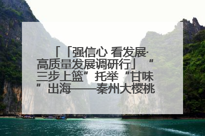 「强信心 看发展·高质量发展调研行」“三步上篮”托举“甘味”出海——秦州大樱桃高质量发展动作分解