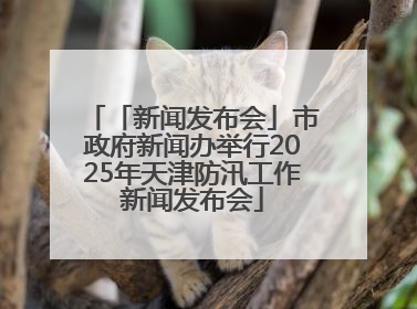 「新闻发布会」市政府新闻办举行2025年天津防汛工作新闻发布会