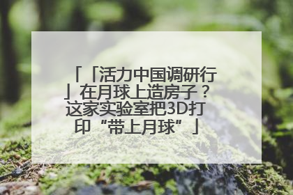 「活力中国调研行」在月球上造房子？这家实验室把3D打印“带上月球”