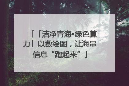 「洁净青海•绿色算力」以数绘图，让海量信息“跑起来”