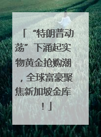 “特朗普动荡”下涌起实物黄金抢购潮，全球富豪聚焦新加坡金库！