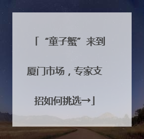 “童子蟹”来到厦门市场，专家支招如何挑选→
