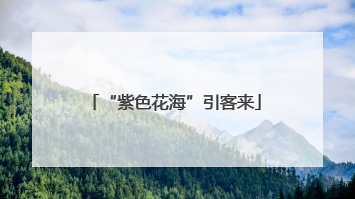“紫色花海”引客来