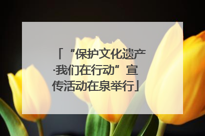 “保护文化遗产·我们在行动”宣传活动在泉举行