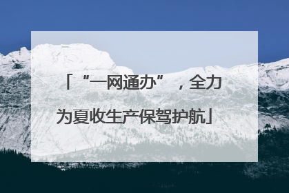 “一网通办”，全力为夏收生产保驾护航