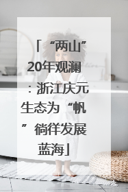 “两山”20年观澜：浙江庆元生态为“帆”徜徉发展蓝海