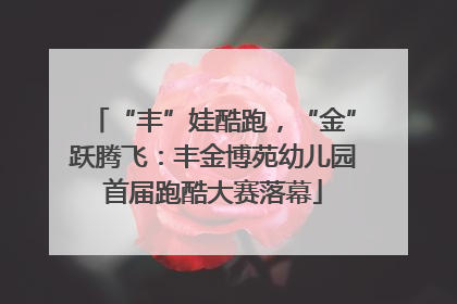 “丰”娃酷跑，“金”跃腾飞：丰金博苑幼儿园首届跑酷大赛落幕