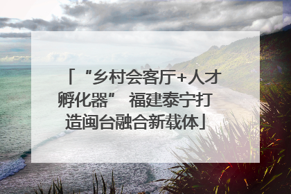 “乡村会客厅+人才孵化器” 福建泰宁打造闽台融合新载体