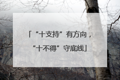 “十支持”有方向，“十不得”守底线