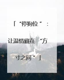 “停狗位 ”：让温情藏在 “方寸之间 ”