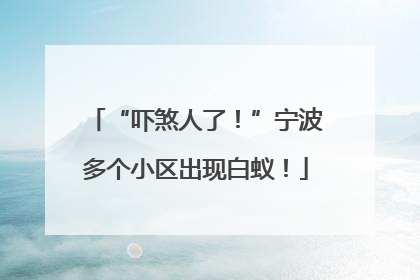 “吓煞人了！”宁波多个小区出现白蚁！