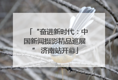 “奋进新时代：中国新闻摄影精品巡展” 济南站开幕