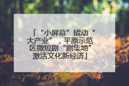 “小屏幕”撬动“大产业”，平原示范区微短剧“剧集地”激活文化新经济