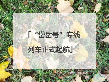 “岱岳号”专线列车正式起航