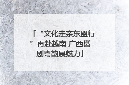 “文化走亲东盟行”再赴越南 广西邕剧粤韵展魅力