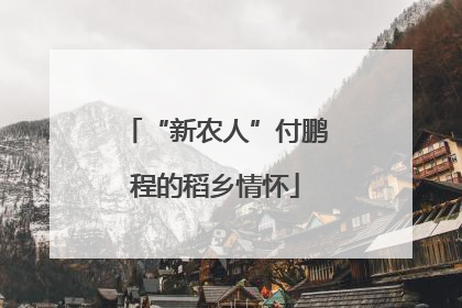 “新农人”付鹏程的稻乡情怀