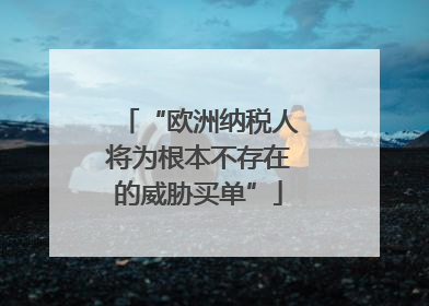 “欧洲纳税人将为根本不存在的威胁买单”