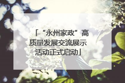 “永州家政”高质量发展交流展示活动正式启动