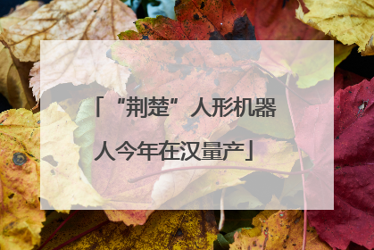 “荆楚”人形机器人今年在汉量产