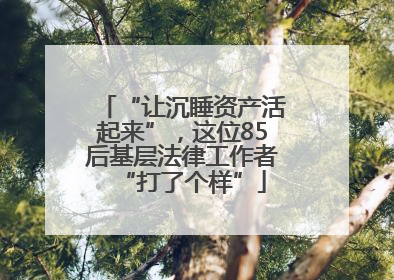 “让沉睡资产活起来”，这位85后基层法律工作者“打了个样”