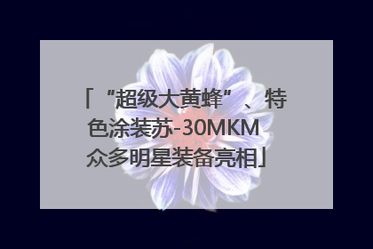 “超级大黄蜂”、特色涂装苏-30MKM 众多明星装备亮相