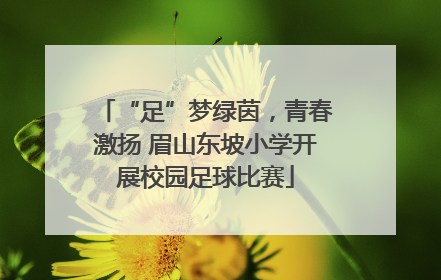 “足”梦绿茵，青春激扬 眉山东坡小学开展校园足球比赛