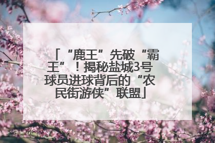 “鹿王”先破“霸王”！揭秘盐城3号球员进球背后的“农民街游侠”联盟