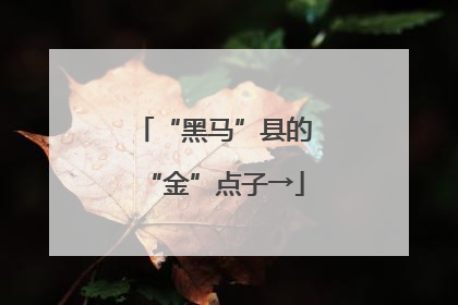 “黑马”县的“金”点子→