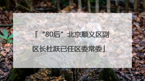 “80后”北京顺义区副区长杜跃已任区委常委