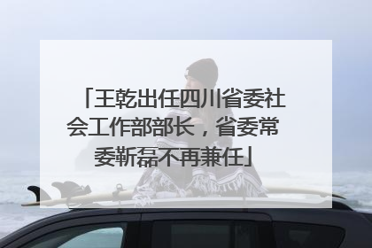 王乾出任四川省委社会工作部部长，省委常委靳磊不再兼任