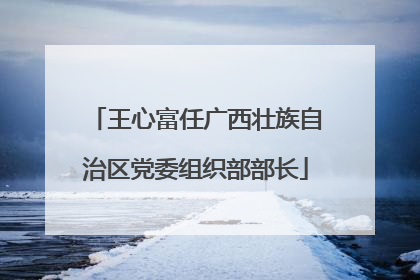 王心富任广西壮族自治区党委组织部部长