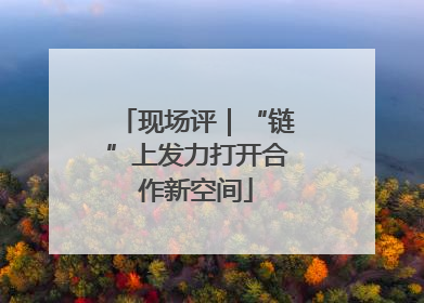 现场评｜“链”上发力打开合作新空间