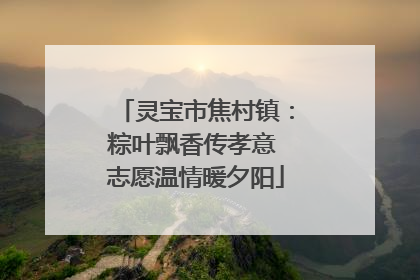 灵宝市焦村镇：粽叶飘香传孝意 志愿温情暖夕阳