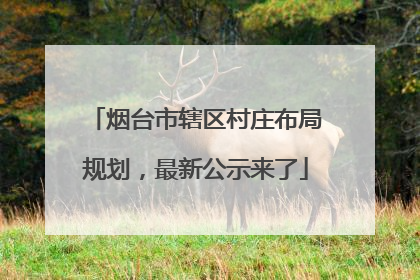 烟台市辖区村庄布局规划，最新公示来了