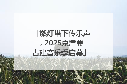 燃灯塔下传乐声，2025京津冀古建音乐季启幕