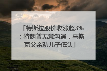 特斯拉股价收涨超3%：特朗普无意沟通，马斯克父亲劝儿子低头
