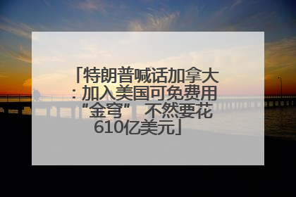 特朗普喊话加拿大：加入美国可免费用“金穹” 不然要花610亿美元