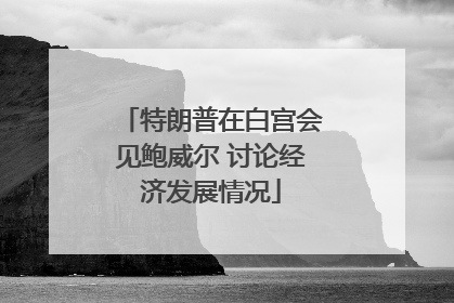 特朗普在白宫会见鲍威尔 讨论经济发展情况