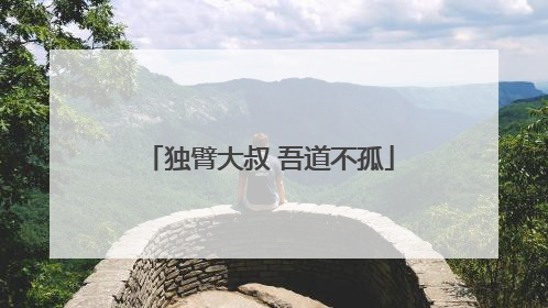 独臂大叔 吾道不孤