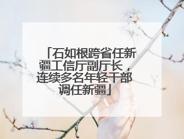 石如根跨省任新疆工信厅副厅长，连续多名年轻干部调任新疆