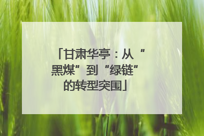甘肃华亭：从“黑煤”到“绿链”的转型突围
