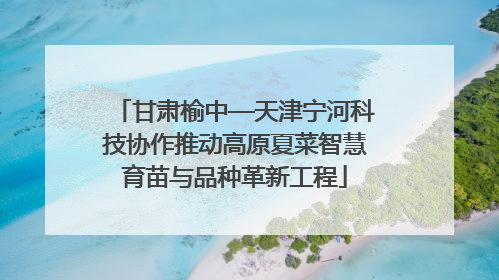 甘肃榆中—天津宁河科技协作推动高原夏菜智慧育苗与品种革新工程