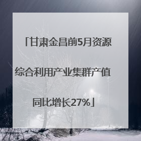 甘肃金昌前5月资源综合利用产业集群产值同比增长27%