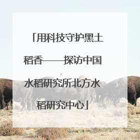 用科技守护黑土稻香——探访中国水稻研究所北方水稻研究中心