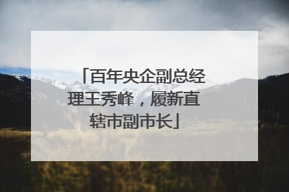 百年央企副总经理王秀峰，履新直辖市副市长
